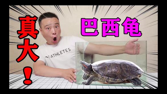 小浪哥买100张刮刮乐彩票,全部刮完,能中一等奖8万元吗?