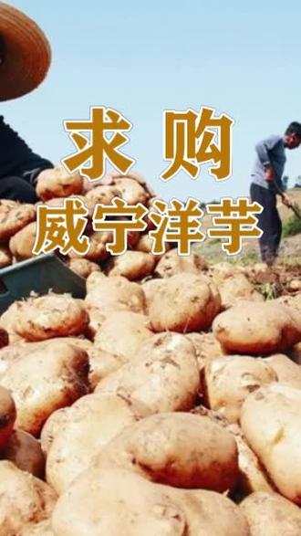 第67集 | 思南县鹦鹉溪猿山养殖场现求购干玉米粒5-10吨,收购价100元